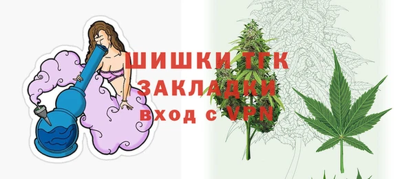 хмурый Абаза