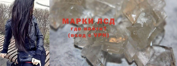 хмурый Абаза
