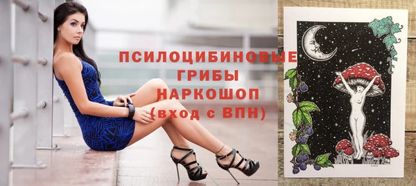 хмурый Абаза