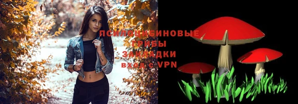 дживик Алексеевка